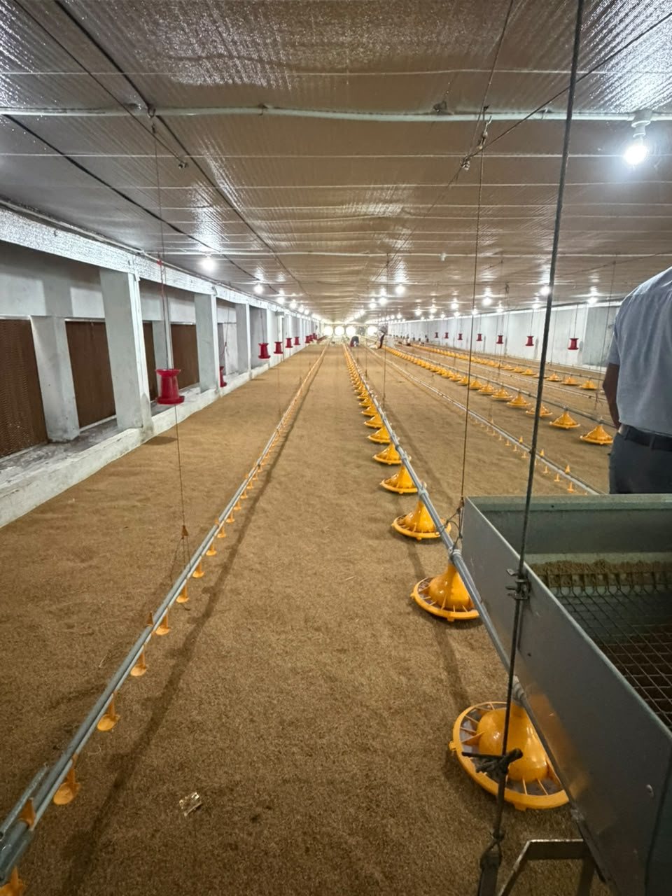 Cooling pads and feeding lines inside a house