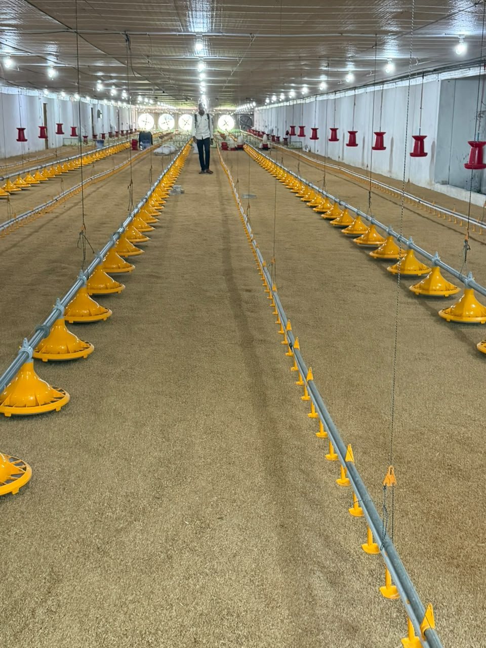 Tunnel-ventilated poultry house fitted with Dhiman Enviro equipment